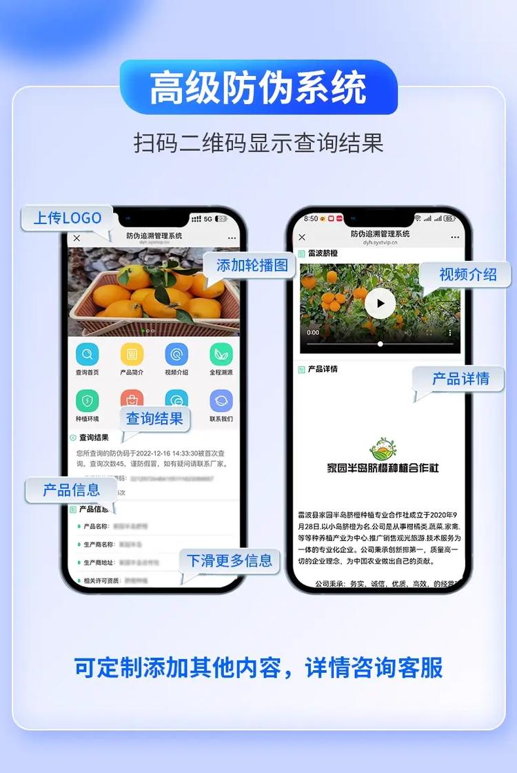 防伪网站搭建，防伪网站搭建，如何保障真实与安全？-图1
