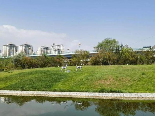衡水 搭建，衡水搭建什么？有何作用？-图1