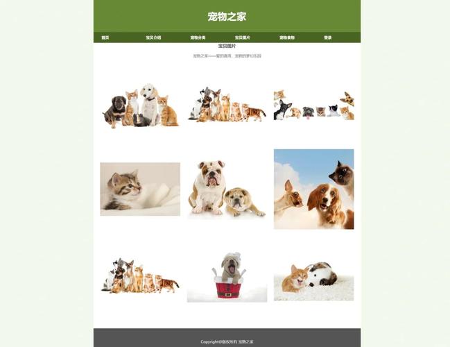 家如何网站,家如何网站是什么?-图2 家如何网站,家如何网站是什么?-图2