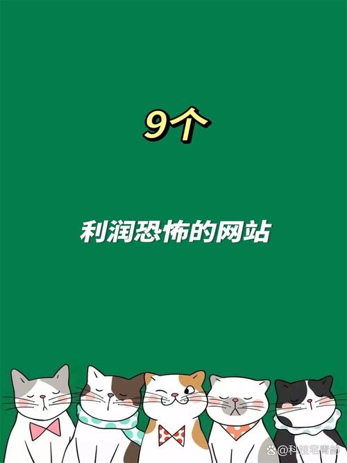 网站是如何盈利的,网站盈利模式有哪些?-图3 网站是如何盈利的,网站盈利模式有哪些?-图3