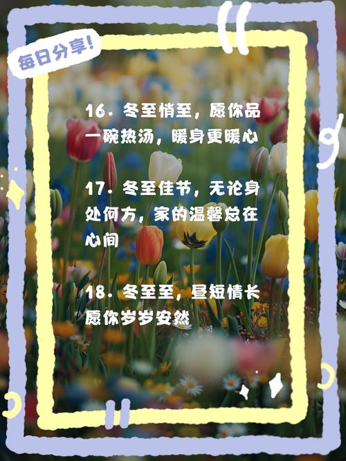冬至如何回朋友的对话，冬至如何回朋友消息最暖？-图1