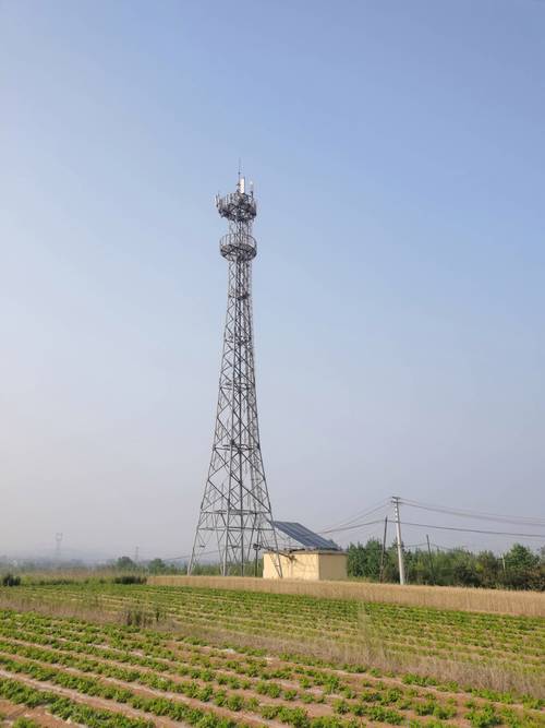 搭建移动站点，移动站点搭建的关键步骤有哪些？-图1