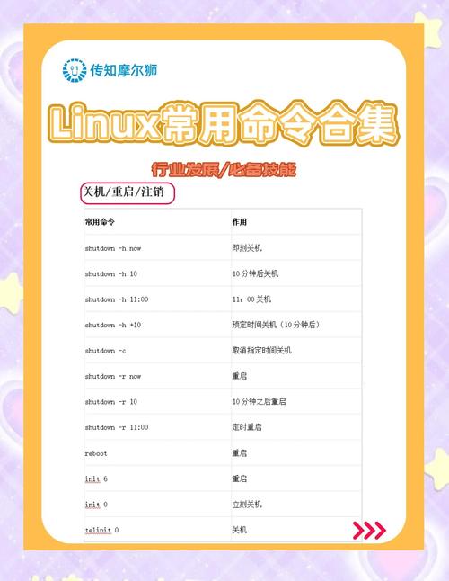 命令行中如何全选内容，命令行如何一键全选内容？-图1