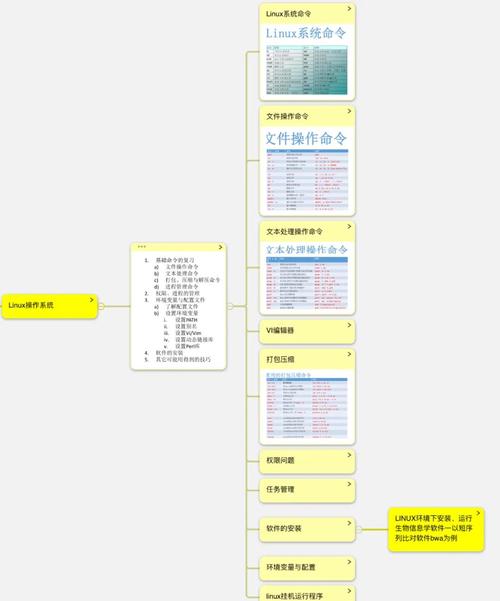 命令行中如何全选内容，命令行如何一键全选内容？-图3