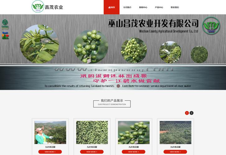 巫山网站搭建，巫山网站搭建，如何快速落地且效果好？-图2