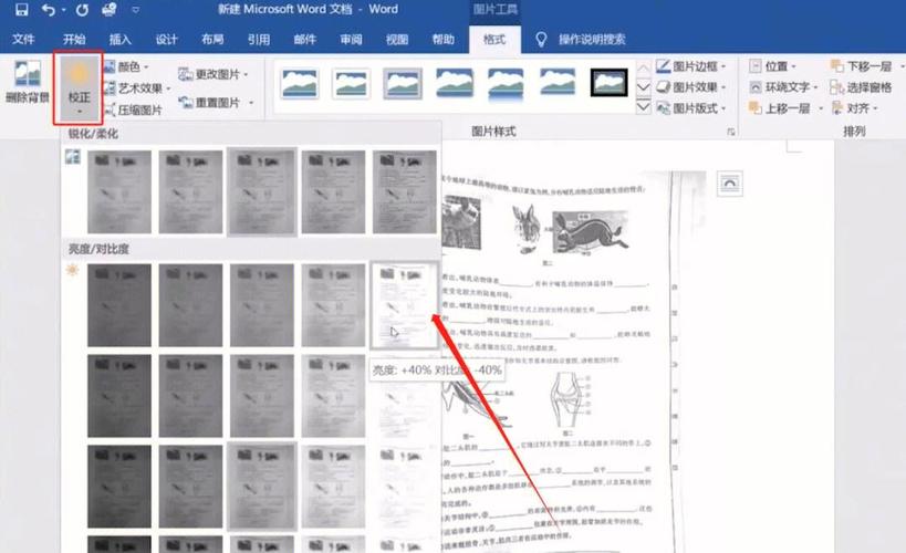 如何调整网页的对比度，网页对比度怎么调？-图1