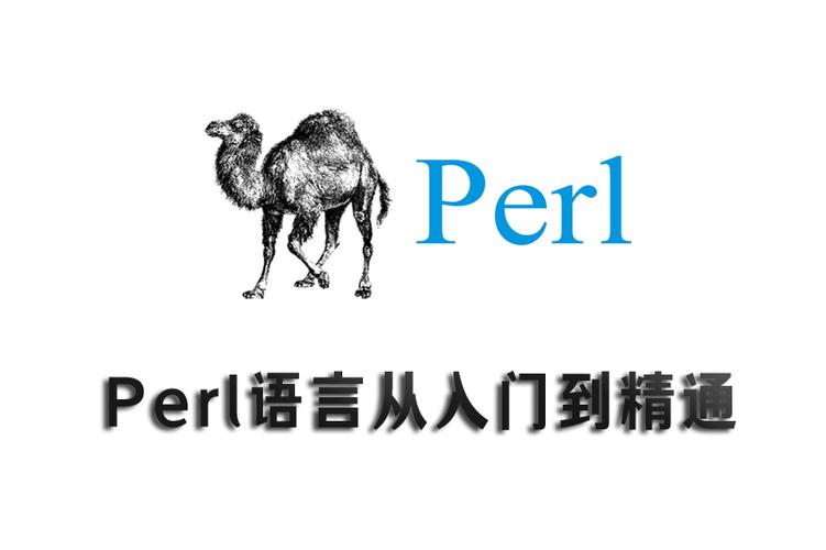 perl 语言 招聘，Perl语言招聘，需求与现状如何？-图1