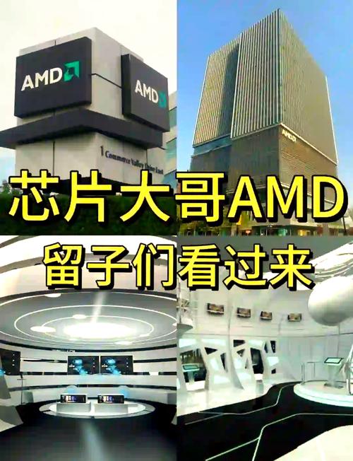 amd 无忧招聘，AMD无忧招聘有何独特优势？-图1