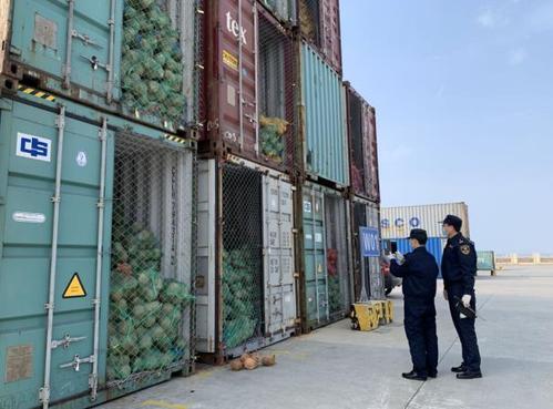 疫情下如何促进出口,疫情下出口如何破局突围?-图1 疫情下如何促进出口,疫情下出口如何破局突围?-图1