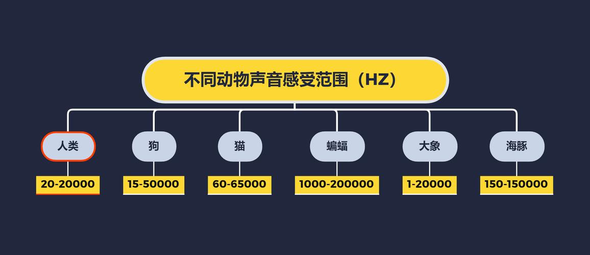 如何看图写出声音的频率,图上频率怎么听出来?-图3 如何看图写出声音的频率,图上频率怎么听出来?-图3