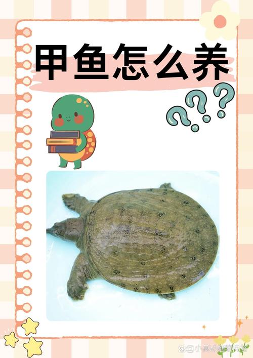 甲鱼不是鱼的大妖猴如何，甲鱼非鱼却称大妖猴，名从何来？-图2