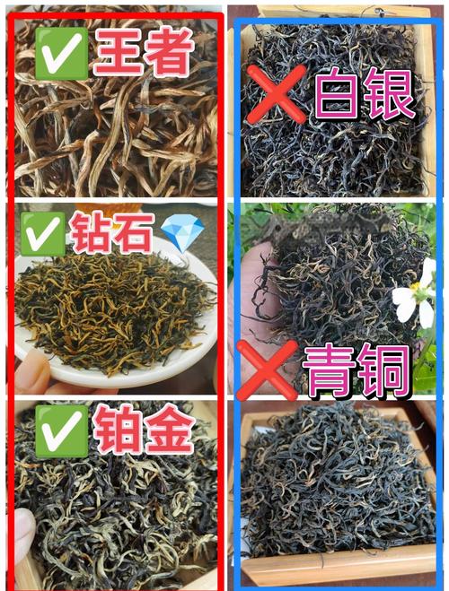 英红九号等级 如何分，英红九号等级划分标准是什么？-图2