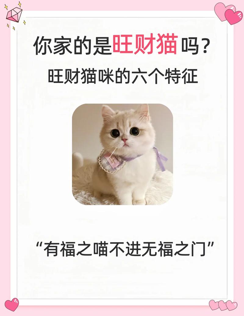 58招才猫怎么招聘,58招才猫招聘有何独特秘诀?-图2 58招才猫怎么招聘,58招才猫招聘有何独特秘诀?-图2