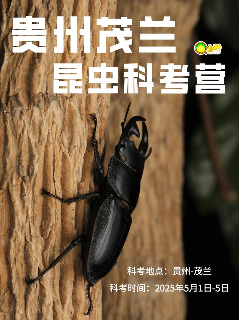 工作虫招聘靠谱么,工作虫招聘靠谱吗?-图1 工作虫招聘靠谱么,工作虫招聘靠谱吗?-图1