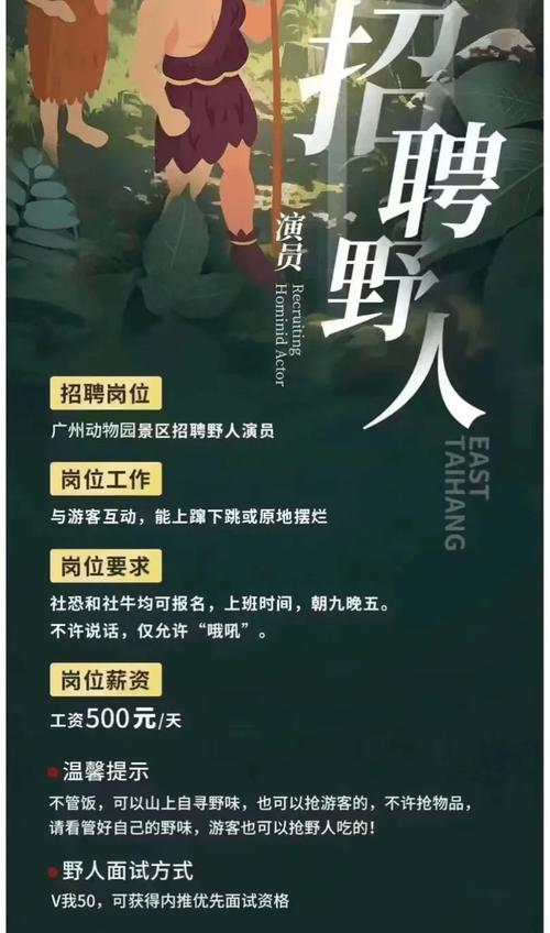 有趣岛招聘，有趣岛招聘，什么岗位最值得期待？-图1