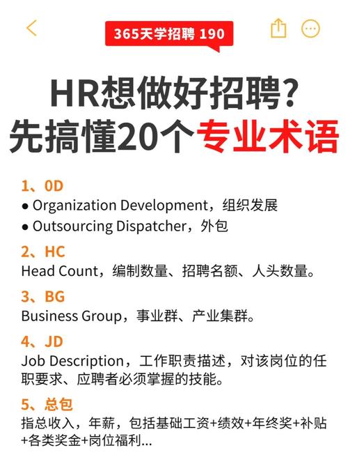 招聘术语怎么写，招聘术语如何规范撰写？-图3