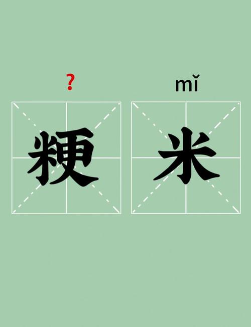 知米如何看每天的生词，知米每日生词如何高效记忆与复习？-图2