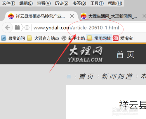 网站如何写伪静态页面，网站伪静态页面怎么写？-图3
