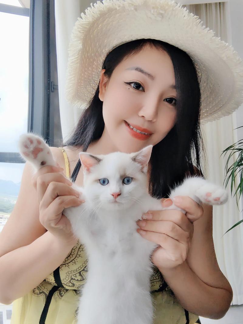 招财猫怎么发布招聘的，招财猫招聘怎么发？企业发布流程是怎样的？-图2