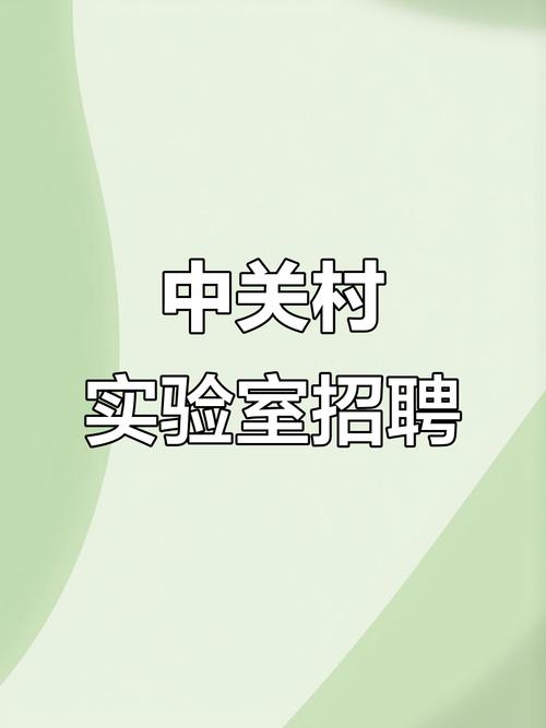 定位中关村招聘，定位中关村招聘，为何能吸引顶尖人才？-图3