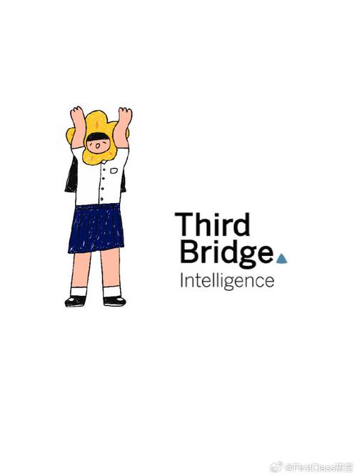 third bridge 招聘，Third Bridge招聘什么岗位？要求有哪些？-图1
