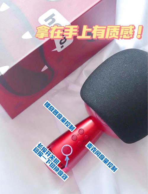 如何使用小巨蛋麦克风，小巨蛋麦克风怎么用？新手操作指南看这里！-图1