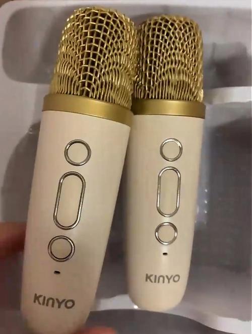 如何使用小巨蛋麦克风，小巨蛋麦克风怎么用？新手操作指南看这里！-图3