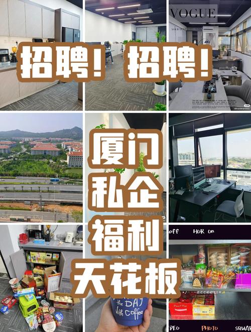 厦门basefx 招聘，厦门basefx招聘，具体岗位和要求是什么？-图1