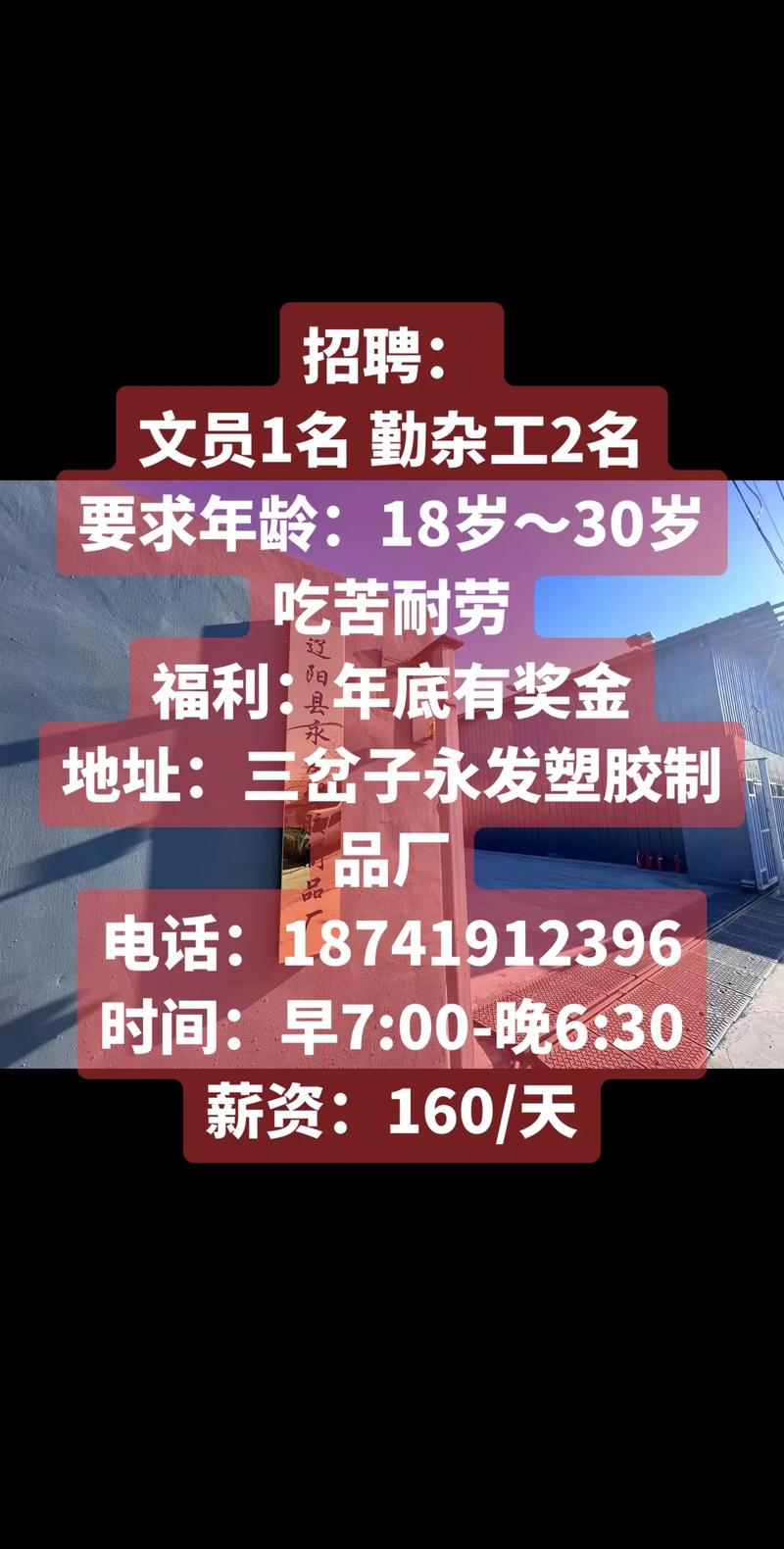 文豆 招聘，文豆招聘，具体岗位和要求是什么？-图1