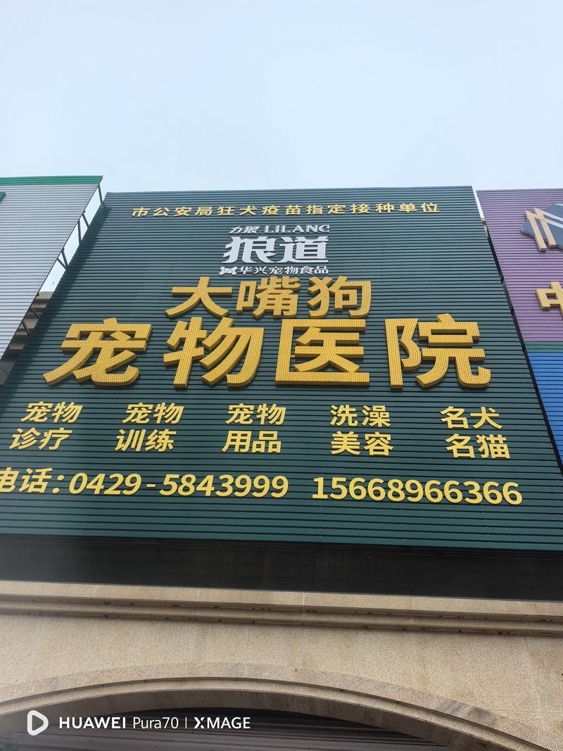 狗大夫 招聘,狗大夫招聘?啥要求?薪资多少?-图1 狗大夫 招聘,狗大夫招聘?啥要求?薪资多少?-图1