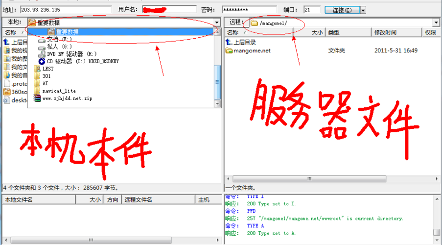 如何用ftp上传文件到域名，FTP如何上传文件到域名？-图1