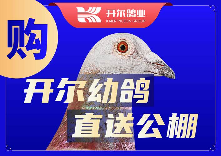 同城鸽 招聘，同城鸽招聘，有何岗位要求？-图2