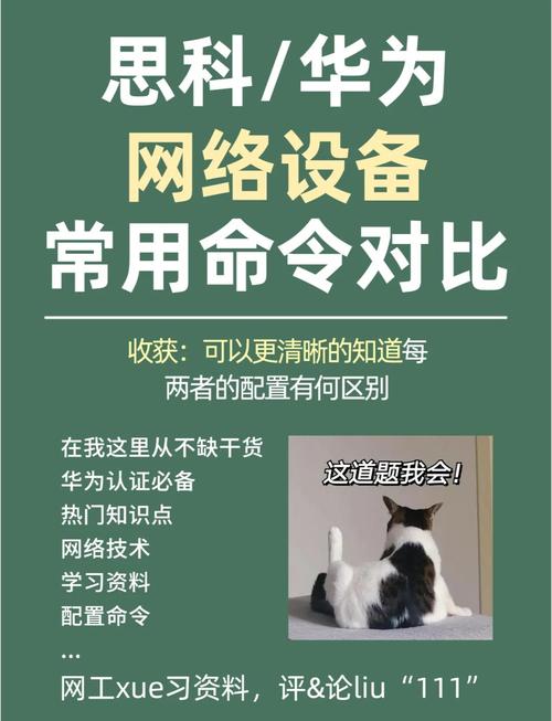 思科交换机常用命令有哪些?-图2 思科交换机常用命令有哪些?-图2
