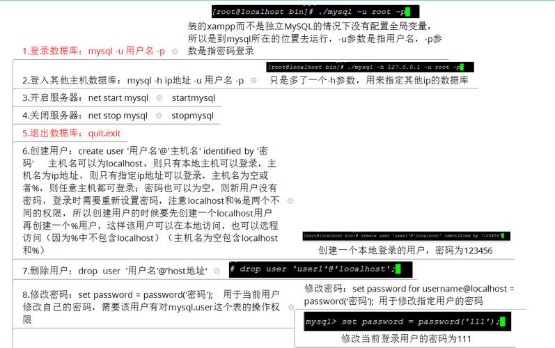 数据库删除数据命令有哪些？-图1