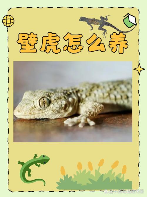 壁虎标识招聘,具体岗位和要求是什么?-图3 壁虎标识招聘,具体岗位和要求是什么?-图3