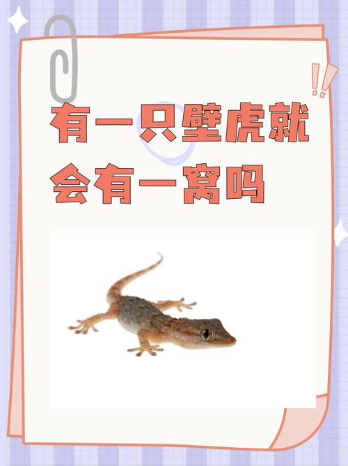 壁虎标识招聘,具体岗位和要求是什么?-图1 壁虎标识招聘,具体岗位和要求是什么?-图1