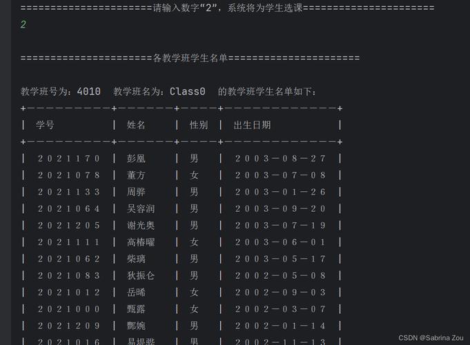 Java交互式命令行如何实现高效交互?-图2 Java交互式命令行如何实现高效交互?-图2