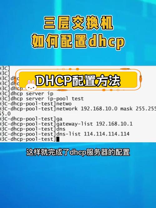 交换机IP命令如何正确配置？-图1