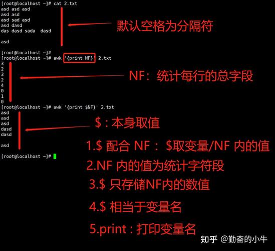 Linux三剑客命令分别是什么?-图1 Linux三剑客命令分别是什么?-图1