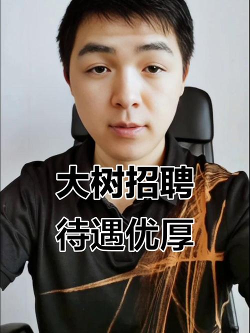 大树财富招聘,有何岗位要求与福利?-图2 大树财富招聘,有何岗位要求与福利?-图2
