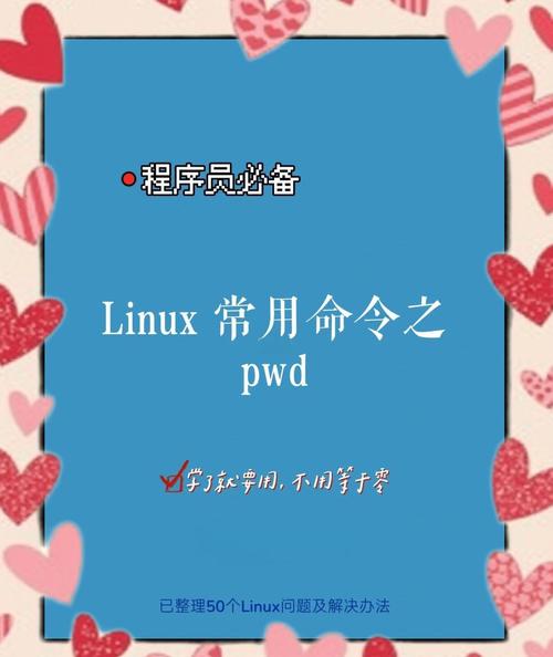 Linux中pwd命令的用法是什么?-图2 Linux中pwd命令的用法是什么?-图2