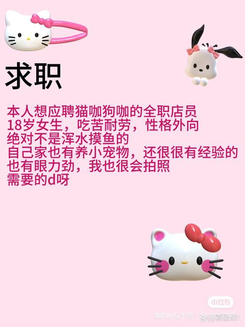 猫咪网站招啥样的人才？-图3