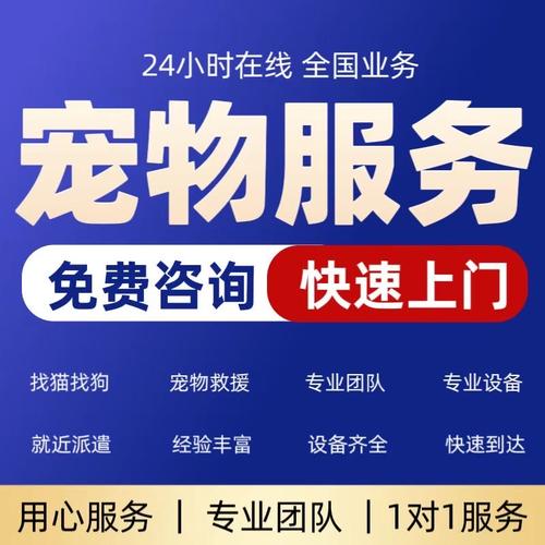 猫咪网站招啥样的人才？-图1