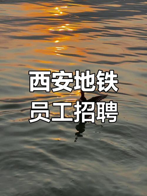 西安TI招聘，有哪些岗位要求？-图2