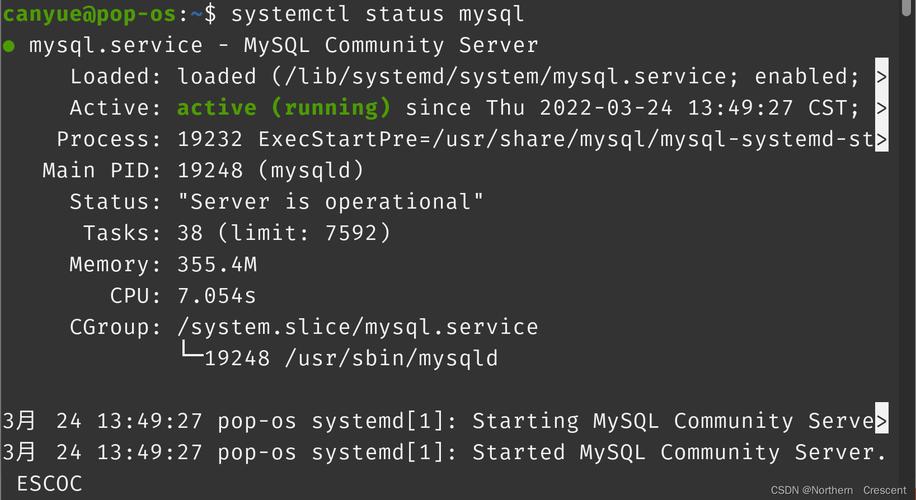 命令行如何运行mysql？-图3