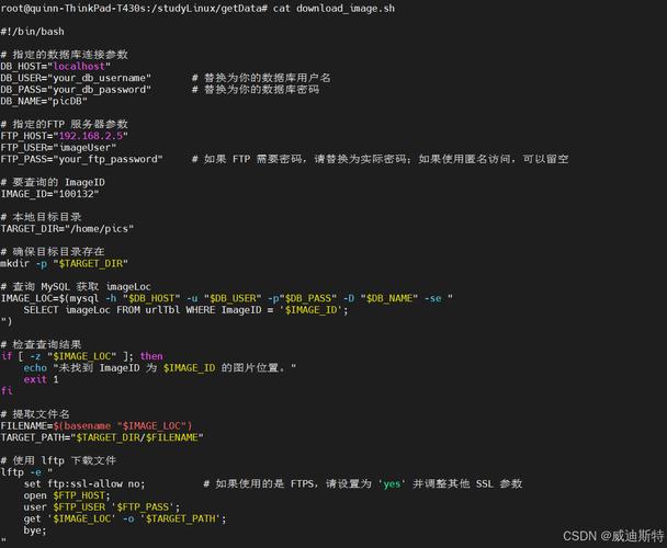 如何整站从FTP复制下来？-图3