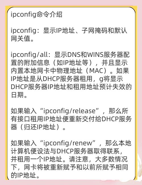 常用网络故障排查命令有哪些？-图1