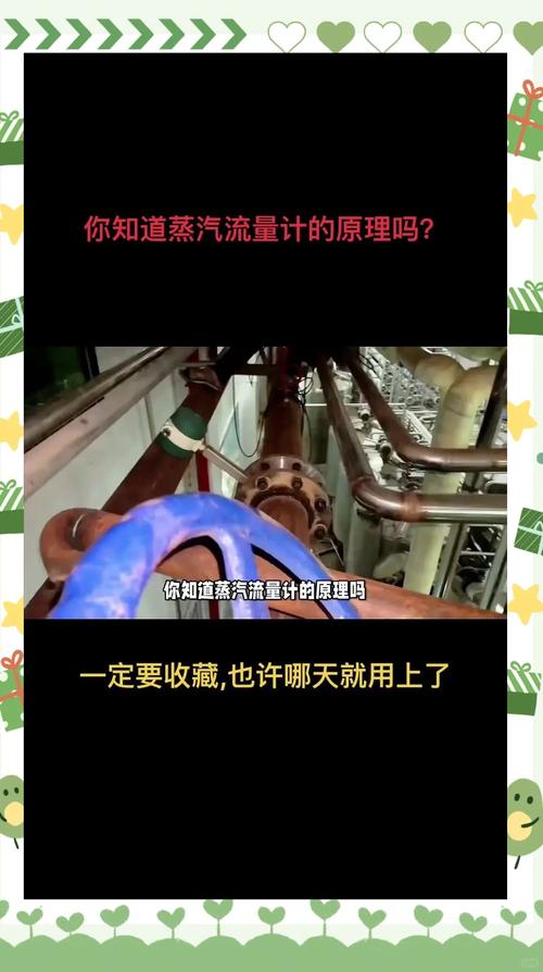 蒸汽流量计如何快速启动运转？-图1