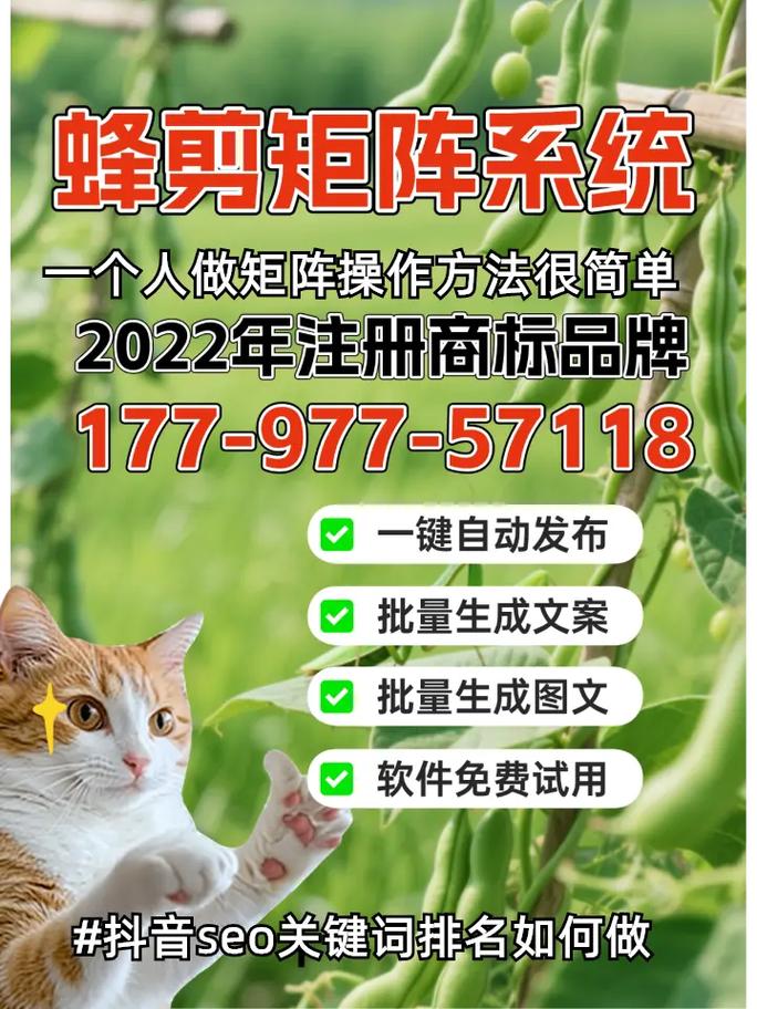 关键词如何快速提升搜索排名？-图3