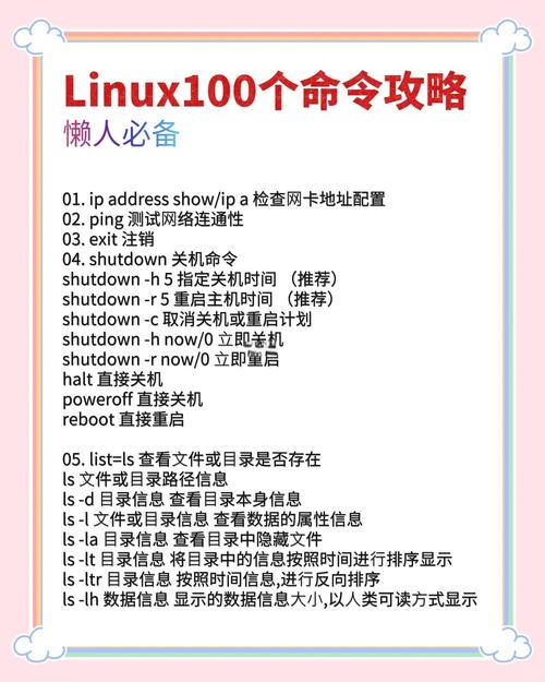 Linux常用命令cd如何高效切换目录？-图3